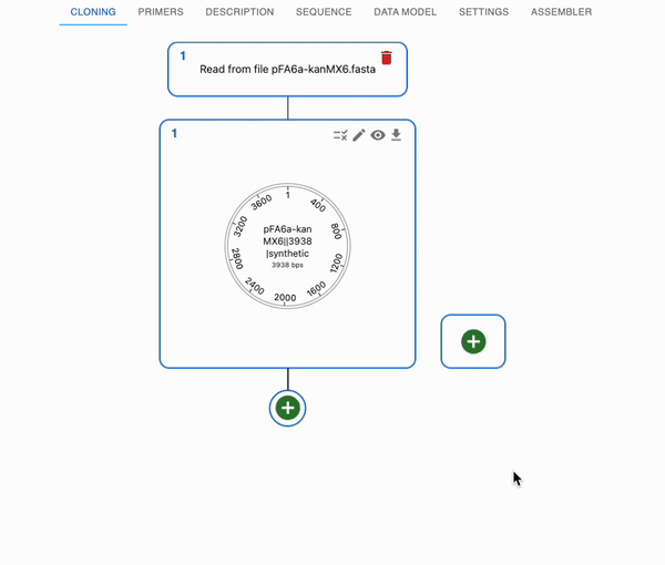 Animation showing automatic annotation using pLannotate in OpenCloning