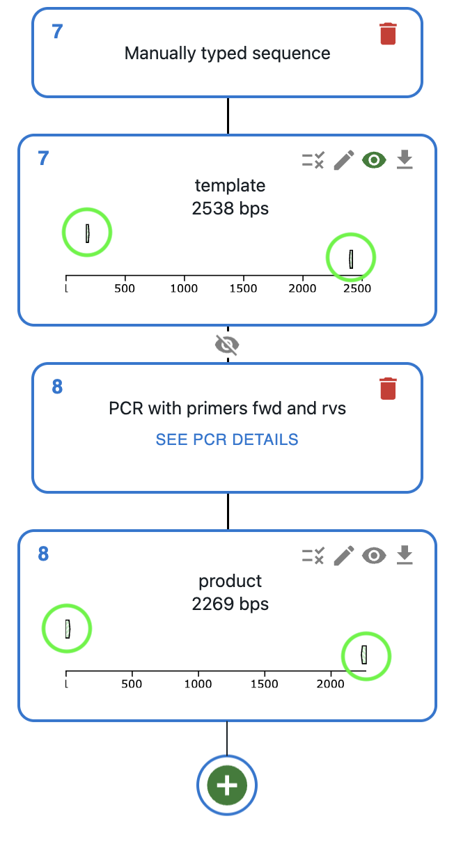 Primer annotation in template sequence view